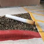 image for This fallen post looks like a discarded cigarette.