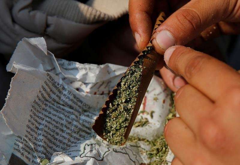 image for Mexico minister backs marijuana legalization in major beach resorts