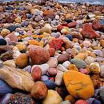image for All the stones at lake huron are colourful.