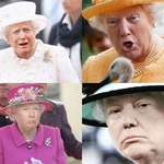 image for Who ever keeps putting Trump’s face on the Queen needs to stop