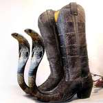 image for Cobra cowboy boots.