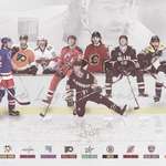 image for The NHL's Twitter page made this college in honour of Jaromir Jagr