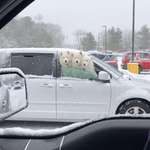image for I couldn't believe what I was seeing when I pulled up next to these three amidst a snowstorm
