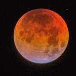 image for Blood moon