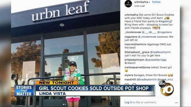 image for Girl Scout sells more than 300 boxes of cookies at San Diego marijuana dispensary