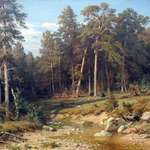 image for Pine Forest, Ivan Shishkin, Oil On Canvas, 1872
