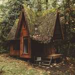 image for Fairy tale cabin in the woods
