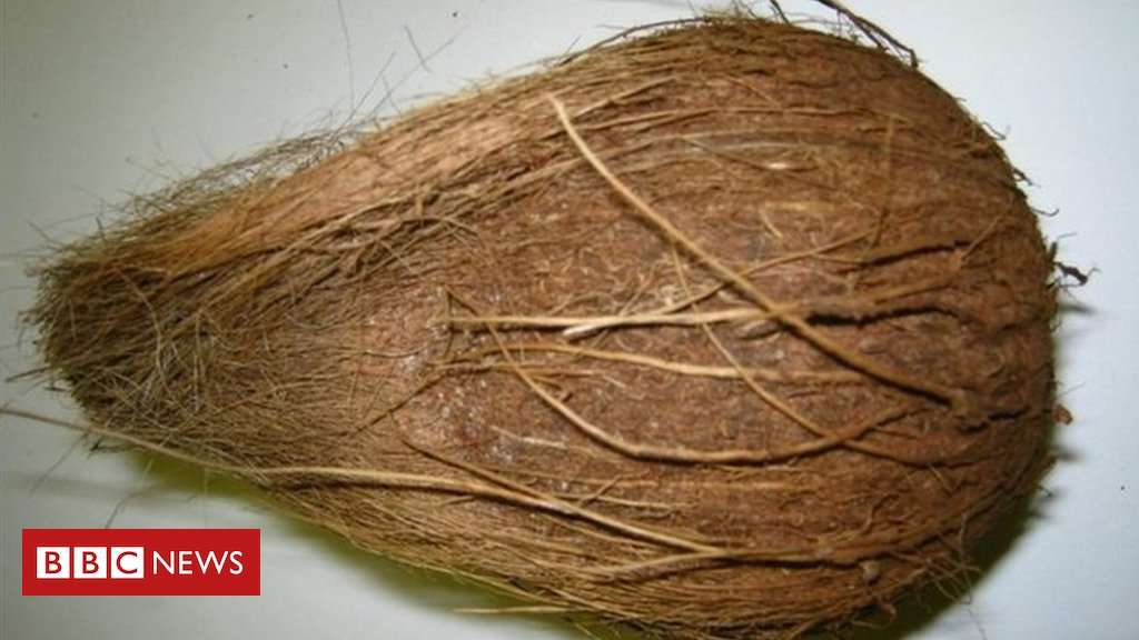 image for Exploding coconut 'sent fear' through crematorium staff