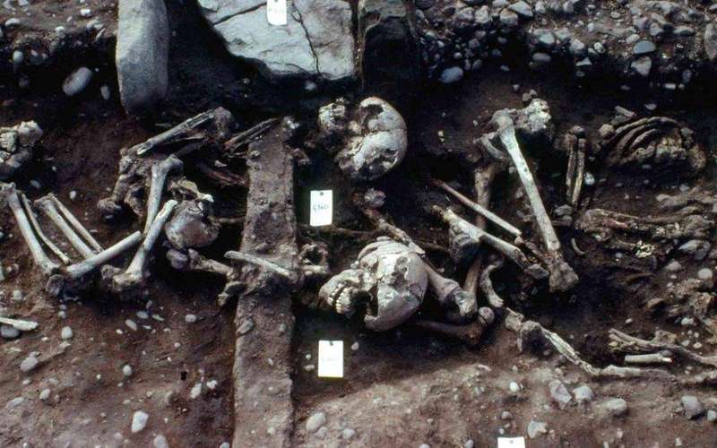 image for Rare find: Mass grave may belong to Viking Great Army