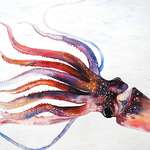 image for A Squid, Kristina Closs, Oil and Watercolor, 2012