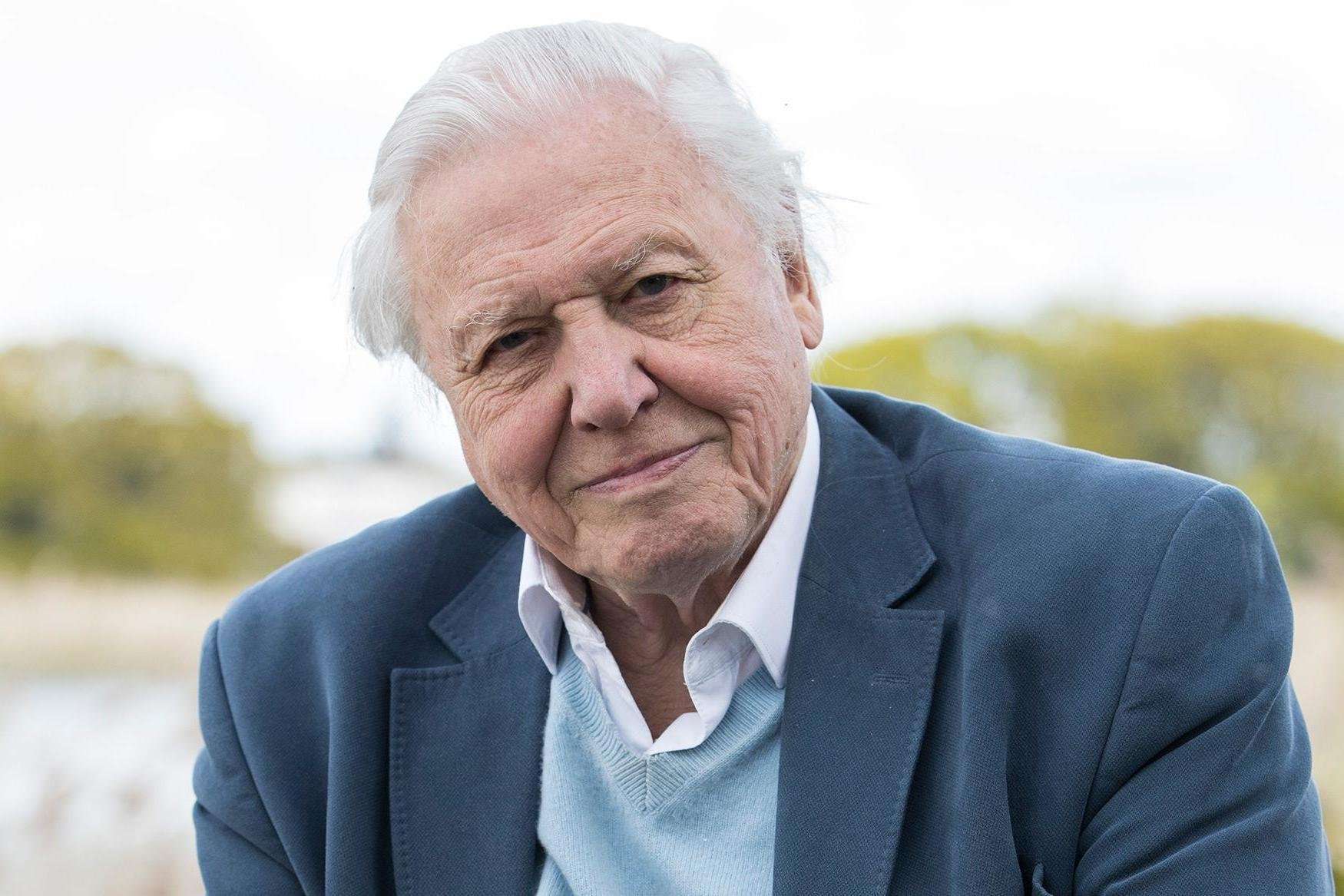 image for Watching David Attenborough documentaries just as good for you as mindfulness, study finds
