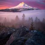 image for Gorgeous sunrise looking out at Mt. Hood, Oregon above a low layer of clouds [OC] [1333x2000]