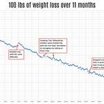 image for Daily charted my weight loss of 100 lbs over 11 months [OC]