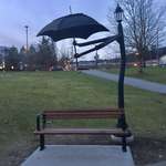 image for The Park Benches in My City Has Built-In Umbrellas