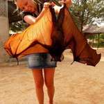 image for 🔥 I present to you... The Flying Fox🔥