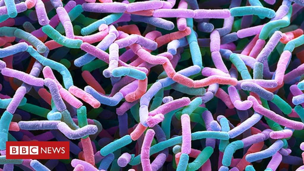 image for New antibiotic family discovered in dirt