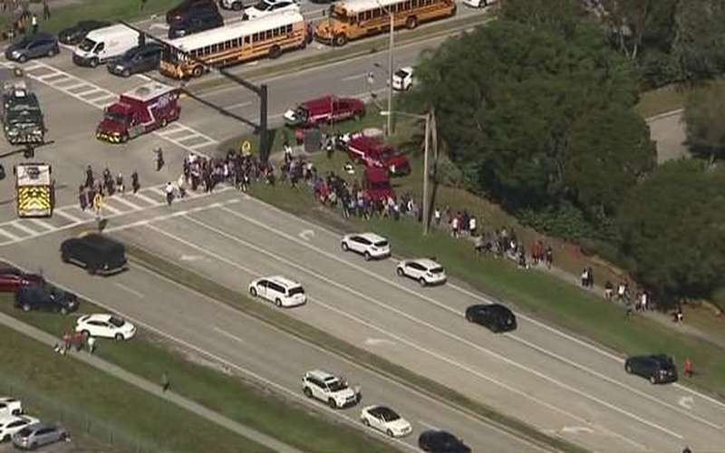 image for Broward Sheriff: 17 dead in South Florida school shooting