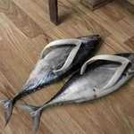 image for I just watched a video on fish sandals