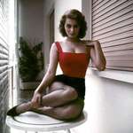 image for Sophia Loren 1962