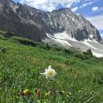 image for An alpine meadow underneath Capitol Peak, Colorado [OC] [3264 x 2448]