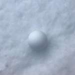 image for The perfect snowball.