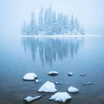 image for Calm winter morning, Washington State [OC] [2400 x 3000]
