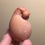 image for One of my mothers chickens laid an egg and tied it with a bow
