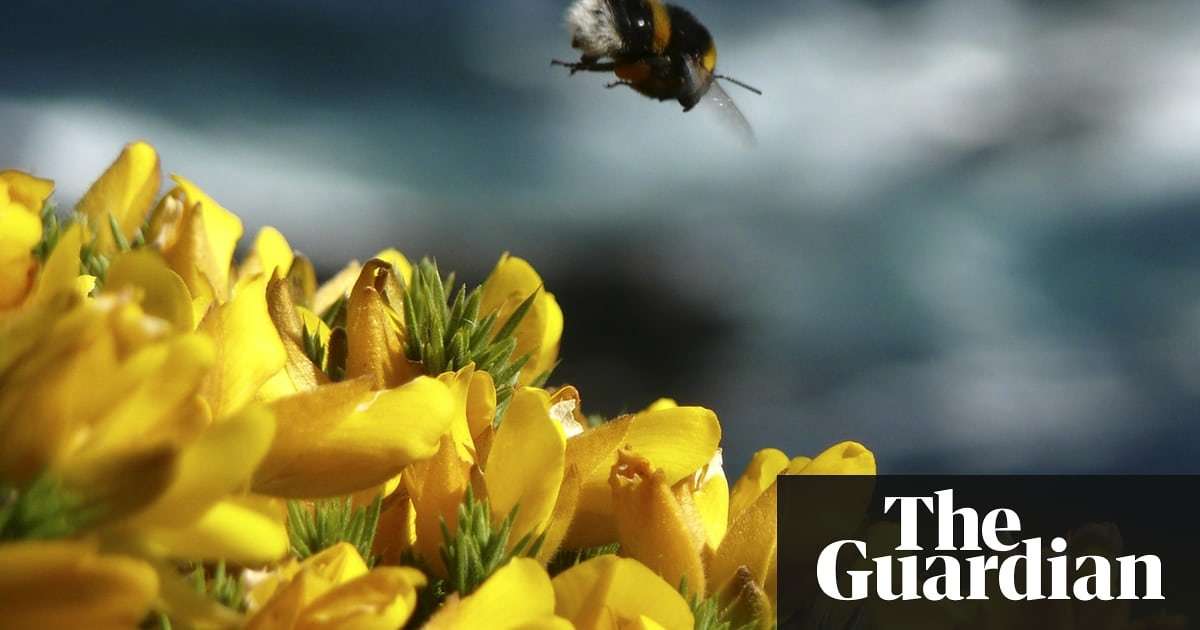 image for Total ban on bee-harming pesticides likely after major new EU analysis