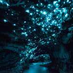 image for This cave in New Zealand illuminated by glowing worms is literally 🔥 lit 🔥