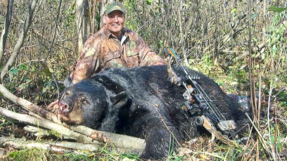 image for See Photos of Black Bear Illegally Hunted by Dentist Walter Palmer Who Killed Cecil the Lion