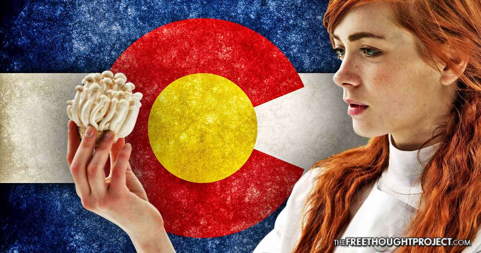 image for After Legal Weed, Colorado Now Taking Steps to Legalize Magic Mushrooms