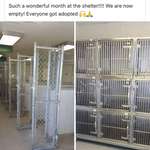 image for They all got adopted!!!