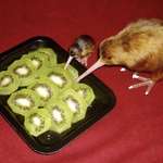 image for KiWis fUckiNG cAnNibaLisiNg oWn fAmilY mEmberS