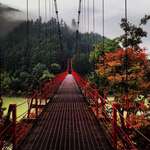 image for Pic I took of a suspension bridge in the mountains of Wakayama, Japan