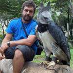 image for Bad ass looking giant Harpy Eagle