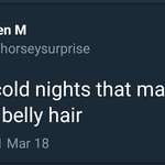 image for Ken M on belly hair and it's value