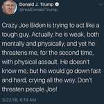 image for Donald Trump would beat Joe Biden in a fight and make him cry