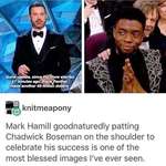 image for Wholesome Hamill