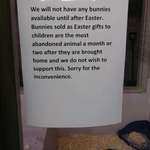 image for This pet store won't sell bunnies until after Easter