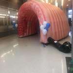 image for My local hospital had this giant blow up human colon that you could walk through in their front lobby to promote colon cancer screenings.