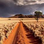 image for The Desert of Namibia