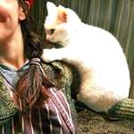 image for My cat likes to ride on my shoulder when I'm painting. She got a little heavy so doesn't fit very well up there anymore. Her current solution.