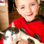 image for Boy adopts cat with same exact rare eye condition and cleft lip