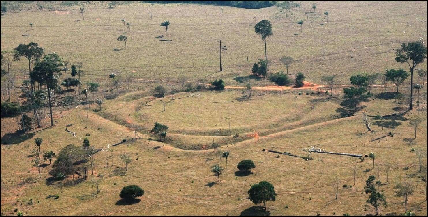 image for Archaeologists discover 81 ancient settlements in the Amazon