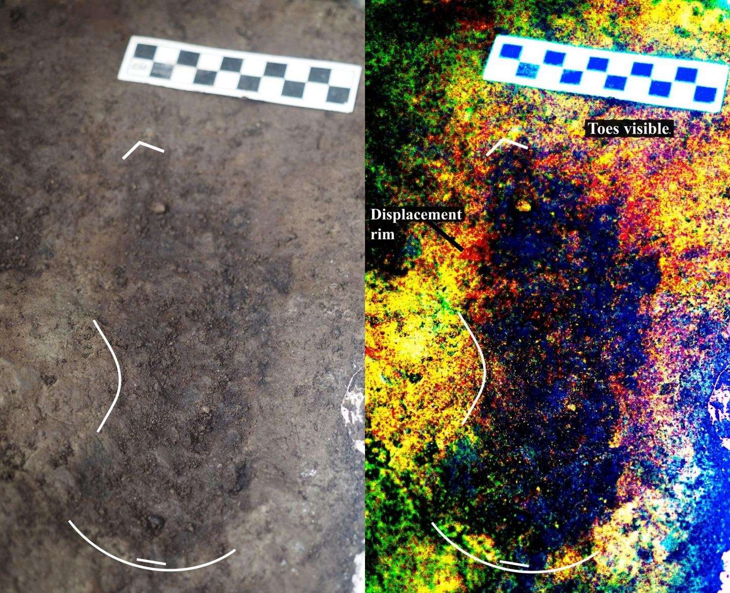 image for 13,000-year-old human footprints found off Canada's Pacific coast
