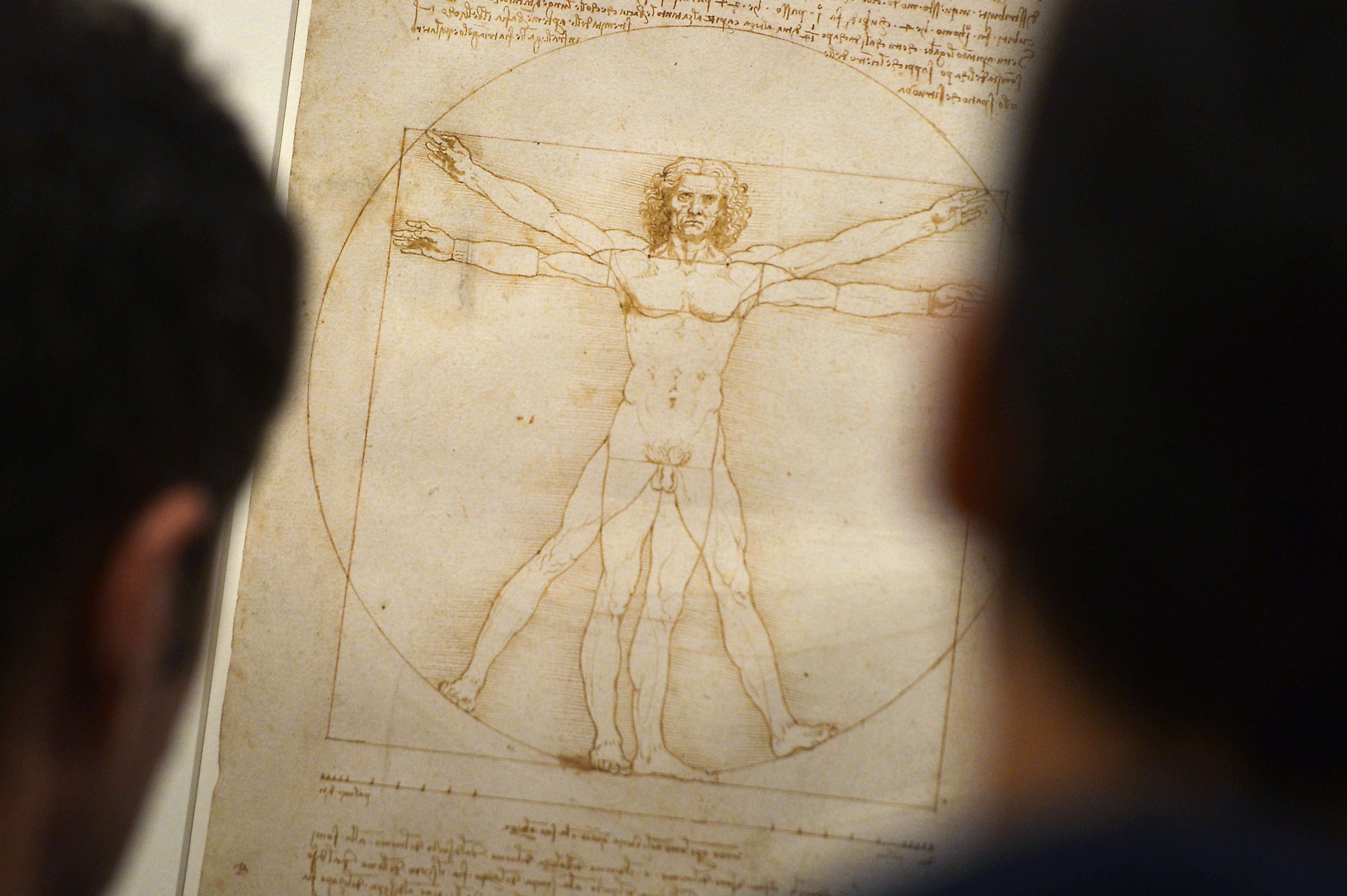 image for Doctor Finds Leonardo da Vinci Sebastian Drawing