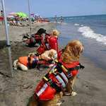 image for Lifeguards ready to save the day in Croatia