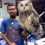image for Look at how big this beautiful Superbowl is.