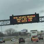image for We need Bob