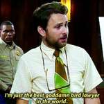image for Theory: Charlie became an expert in bird law in order to be able to prosecute Dee